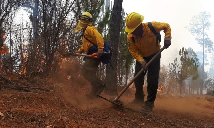Reducen combatientes de incendios forestales conflagraciones en bosques y selvas de Morelos